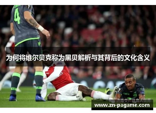 为何将维尔贝克称为黑贝解析与其背后的文化含义